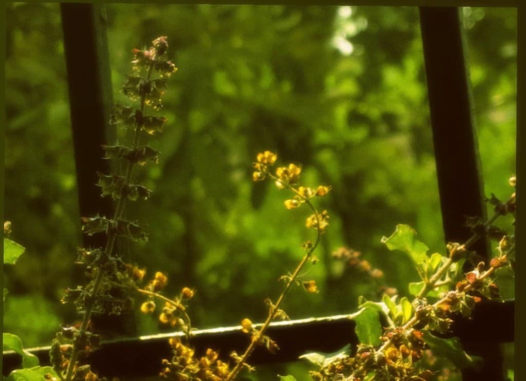 Photography 2