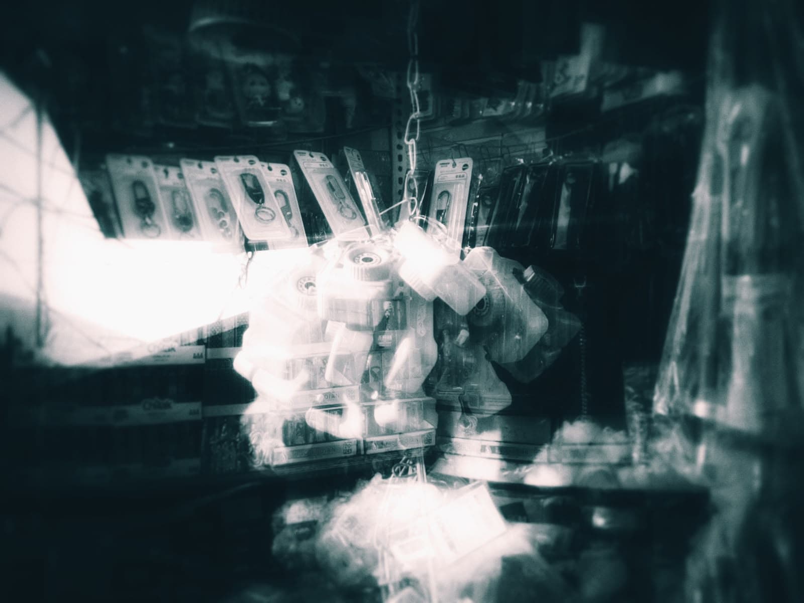 Photography 14