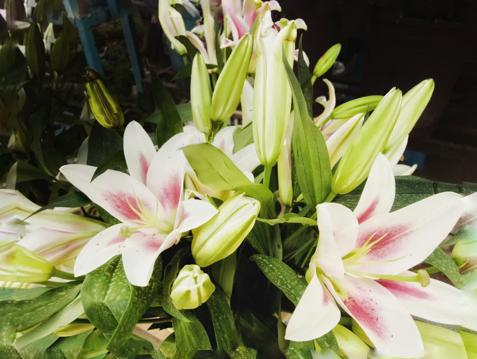 Photography 17
