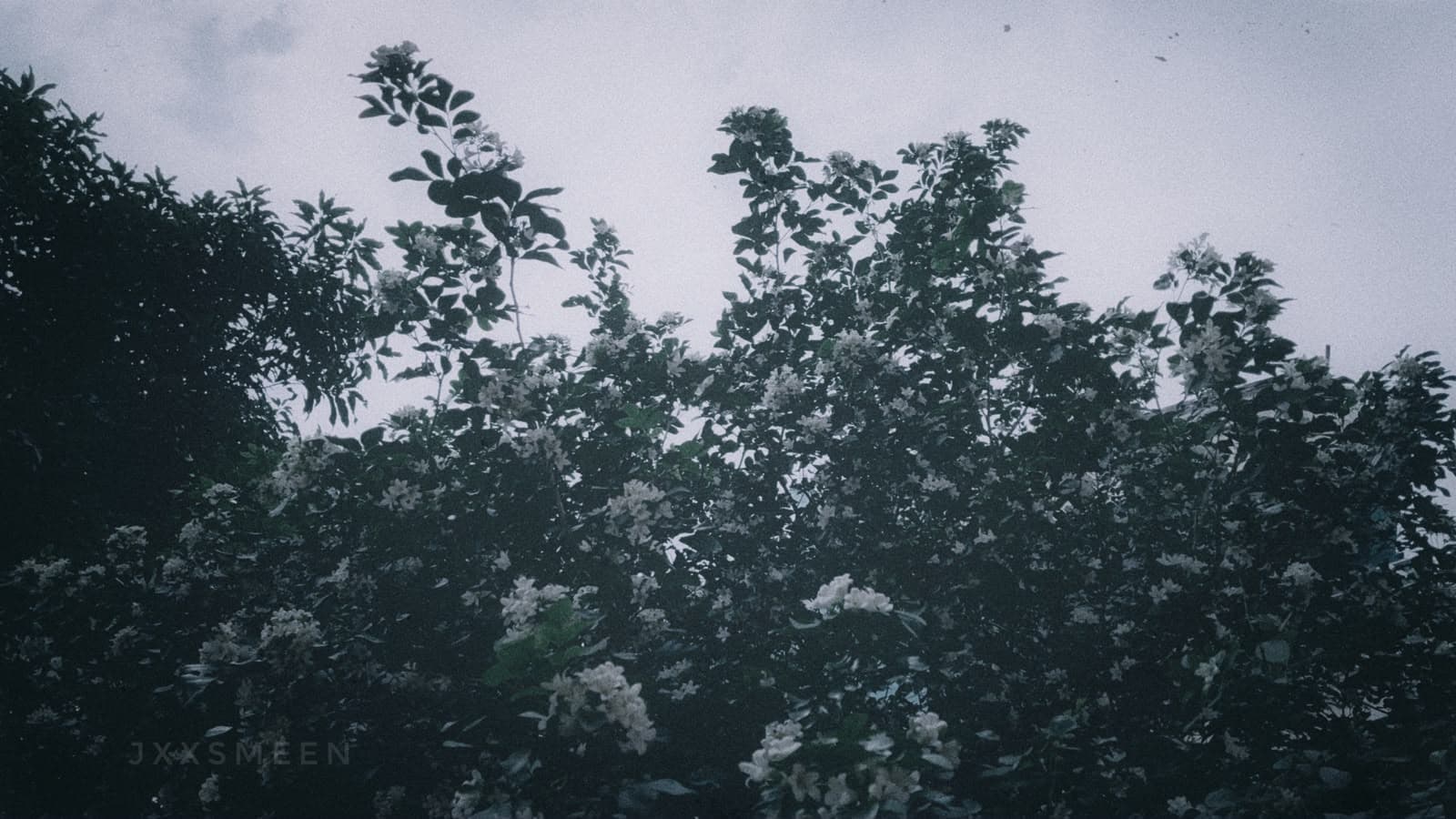 Photography 20