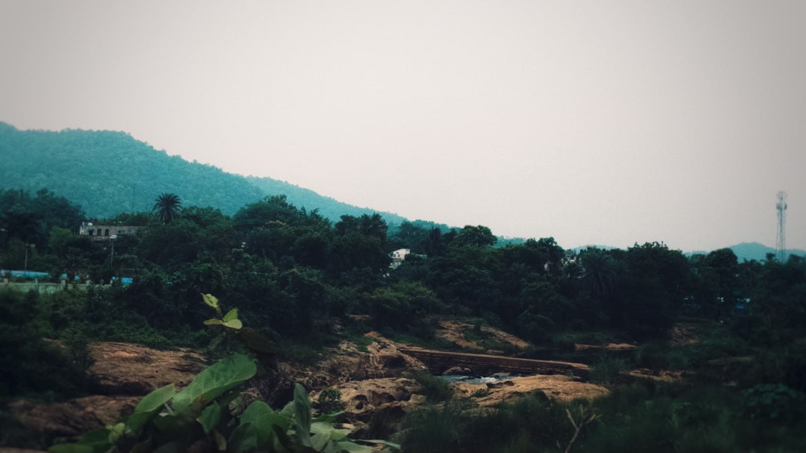 Photography 22