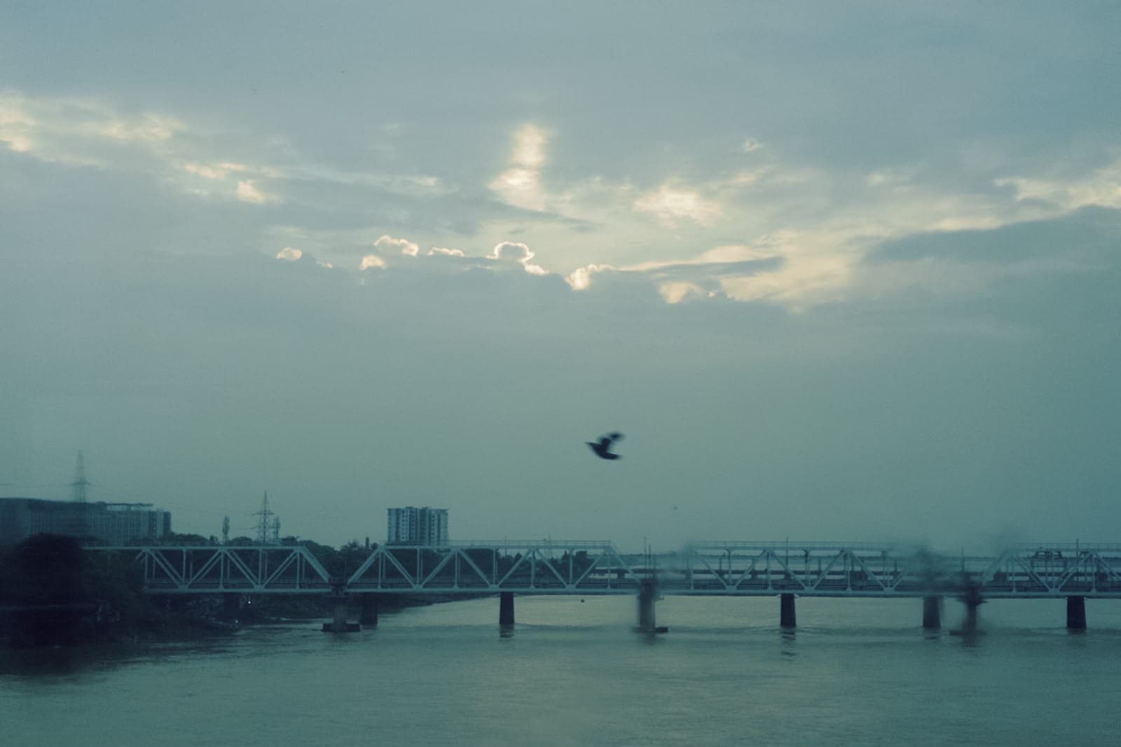 Photography 29